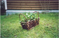 Planter created by Kim Harris at Sticking to my Roots Furniture 