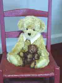 Teddy Bear by Sadie Atchison